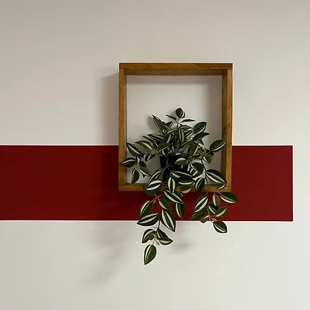 'monas' Mini * ソンボル